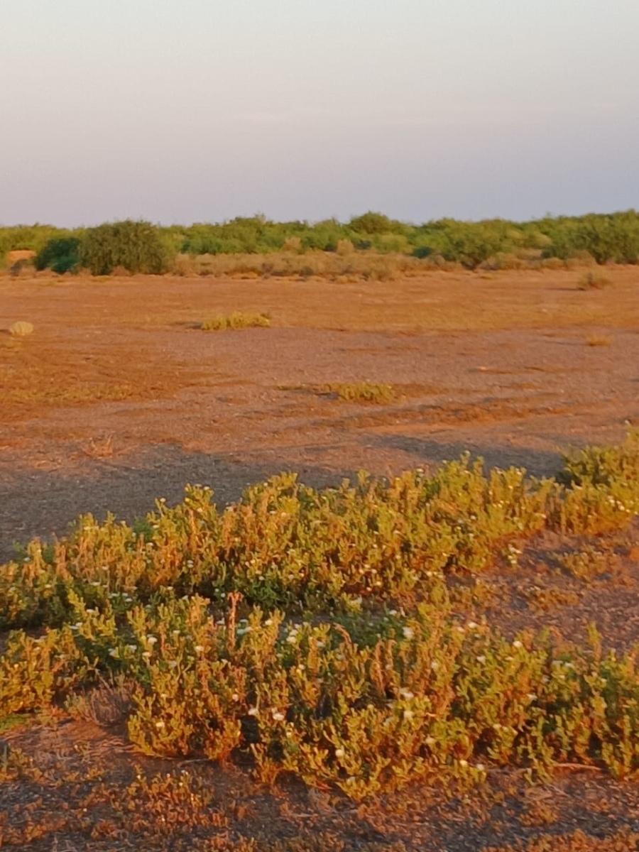 Commercial Property for Sale in Vanwyksvlei Northern Cape